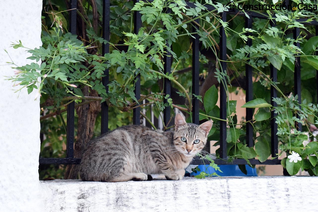 Cuanto cuesta una casa en Atenas