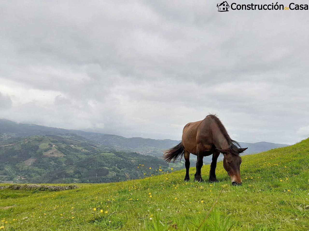 Cuanto cuesta una casa en Gipuzkoa