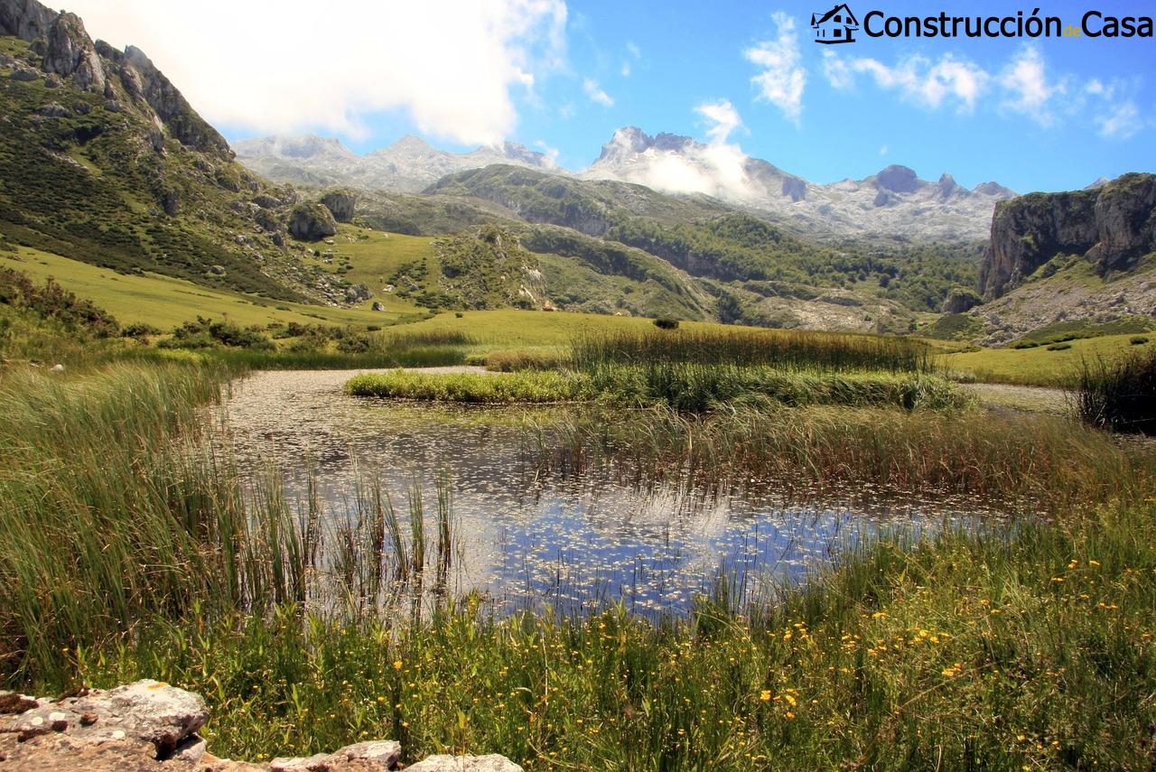 Ayudas al Alquiler en Asturias - Alquiler de vivienda